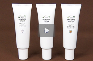 動画を再生 動画を再生